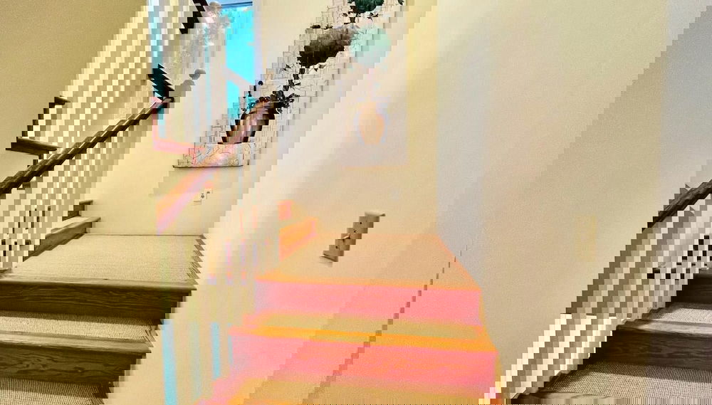 Imagem principal