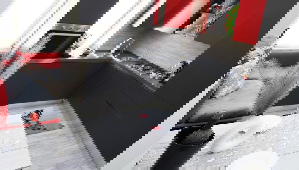 Image principale