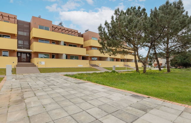 Antas Green Select - Foto 39