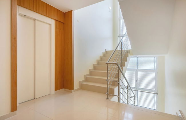 Antas Green Select - Foto 33