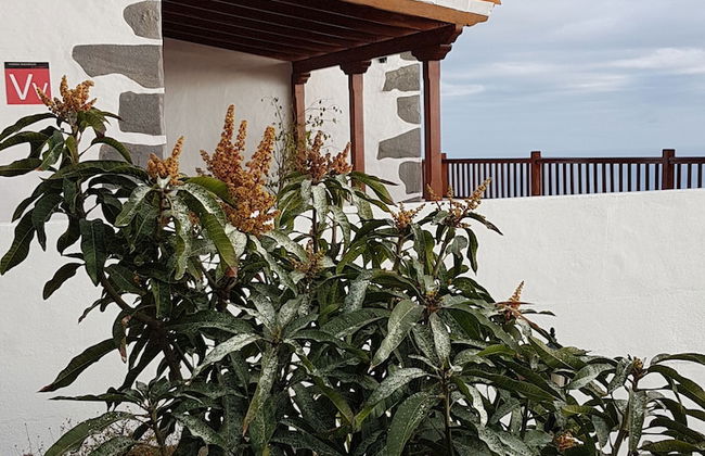 Casa los Viñedos - Foto 35