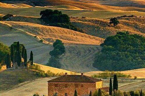 Photo 10 - Country House Girasole Crete Senesi Vakantie Huis