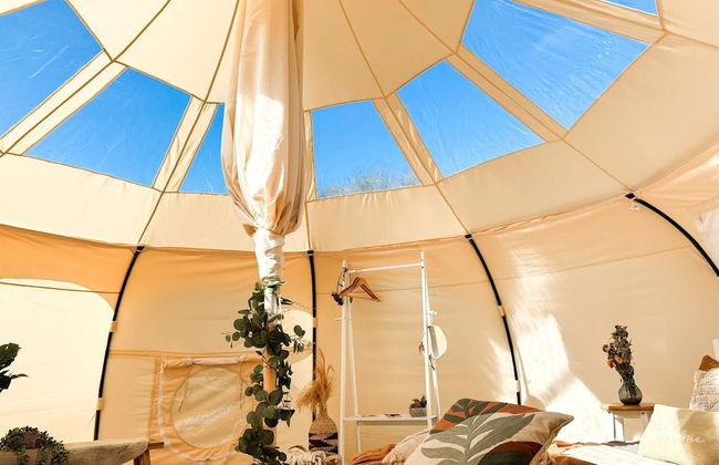 Erw Glas Glamping and Camping - Foto 61