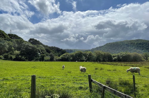 Photo 12 - Erw Glas Glamping and Camping