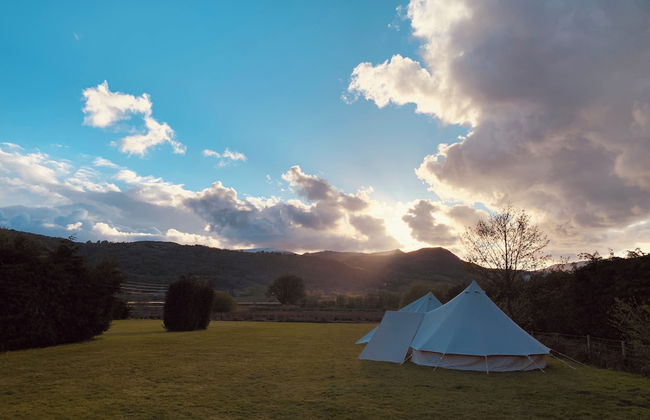 Erw Glas Glamping and Camping - Foto 3