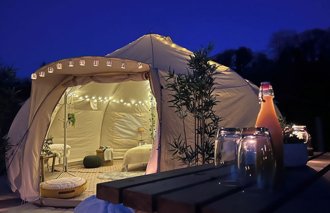 Erw Glas Glamping and Camping - Foto 39