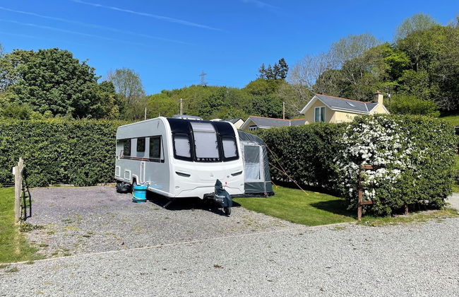 Erw Glas Glamping and Camping - Foto 30