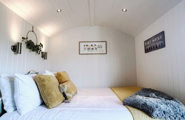 Erw Glas Glamping and Camping - Foto 56