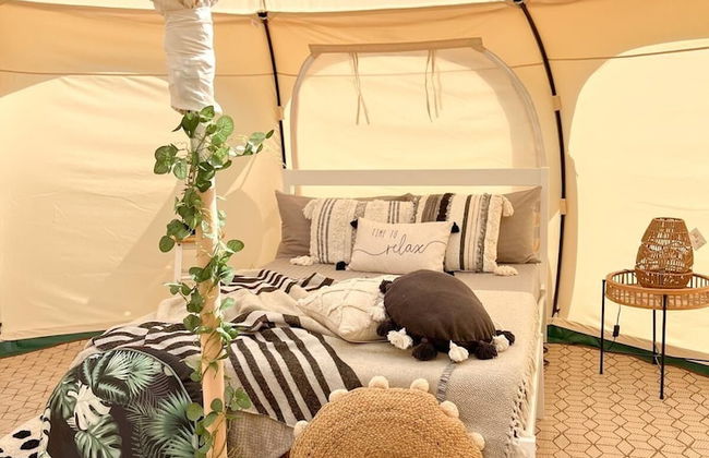 Erw Glas Glamping and Camping - Foto 72