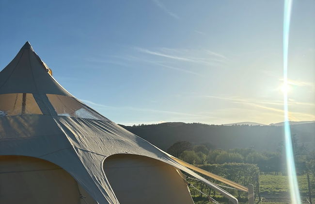 Erw Glas Glamping and Camping - Foto 65