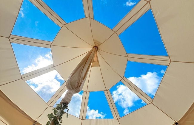 Erw Glas Glamping and Camping - Foto 49