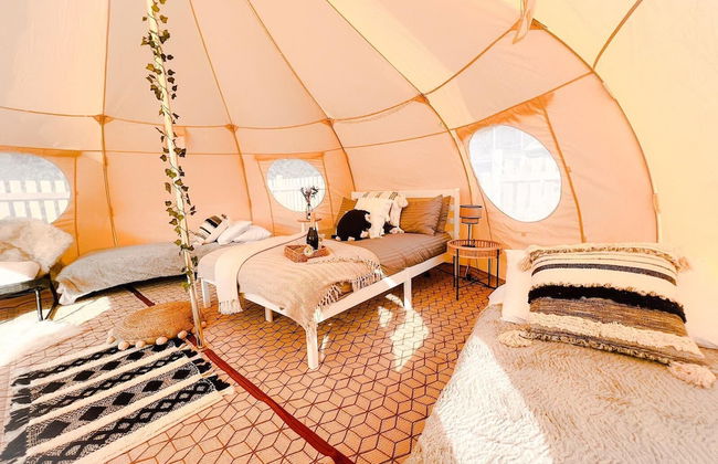 Erw Glas Glamping and Camping - Foto 22