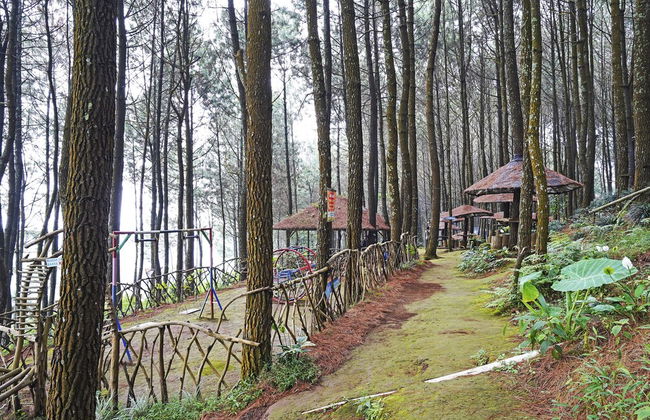 Hotel O Eco Tourism Desa Cipada Bukit Senyum Homestay Syariah - Foto 37