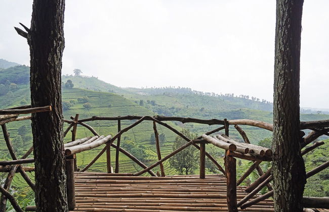 Hotel O Eco Tourism Desa Cipada Bukit Senyum Homestay Syariah - Foto 36