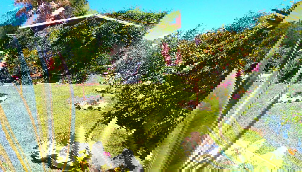 Imagem principal