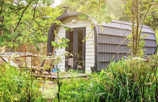 Emlyn's Coppice - Woodland Glamping - Foto 19