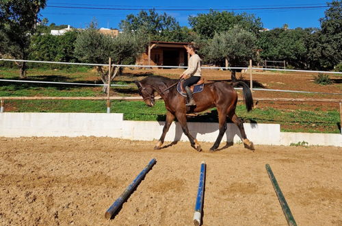 Photo 19 - Tiny House & Horses Hébergement Atypique à Loulé