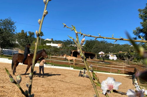 Photo 21 - Tiny House & Horses Hébergement Atypique à Loulé