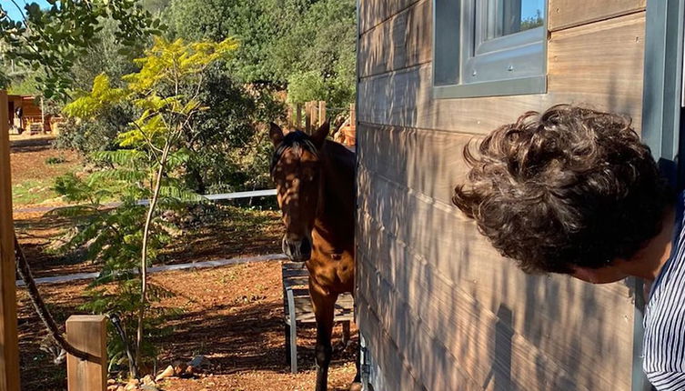 Photo 1 - Tiny House & Horses Hébergement Atypique à Loulé