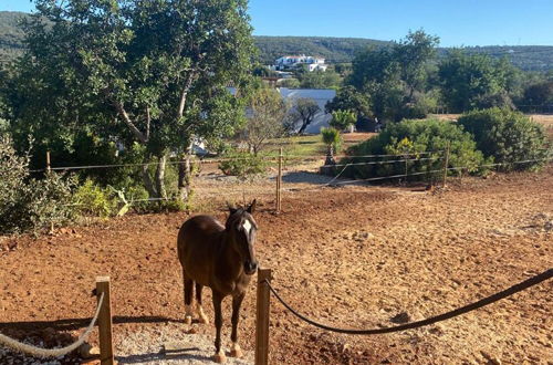 Photo 20 - Tiny House & Horses Hébergement Atypique à Loulé