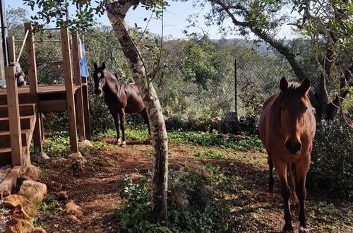 Photo 9 - Tiny House & Horses Hébergement Atypique à Loulé