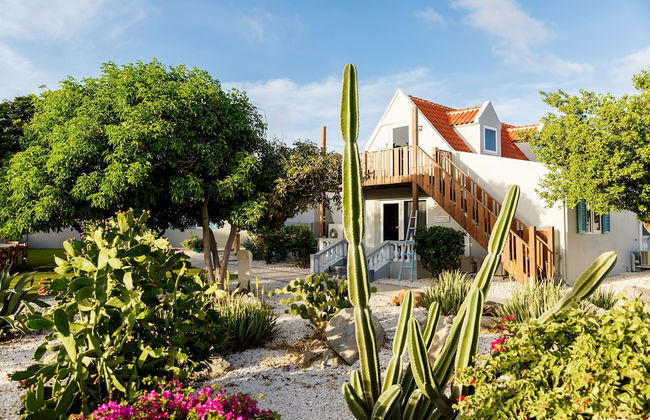 Aruba Boutique Apartments Adults Only - Photo 38
