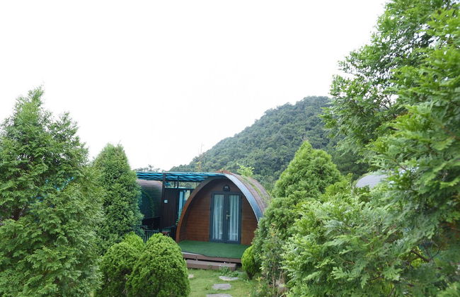 Family 64 Home - Foto 23