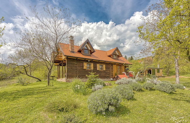 Rural House With Wellness - Foto 39