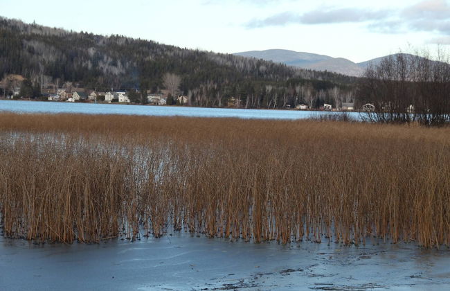 Les Trois Mentors Ghandi, Mandela, Luther King - Foto 13