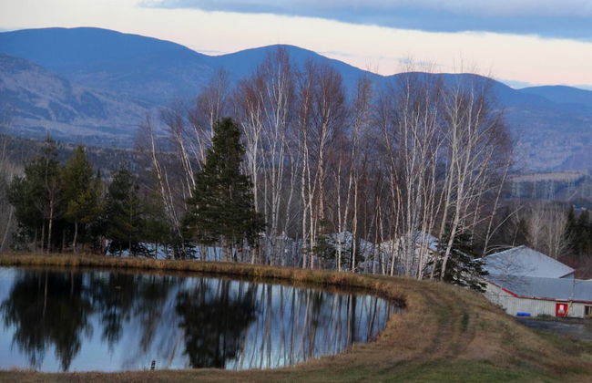 Les Trois Mentors Ghandi, Mandela, Luther King - Foto 31