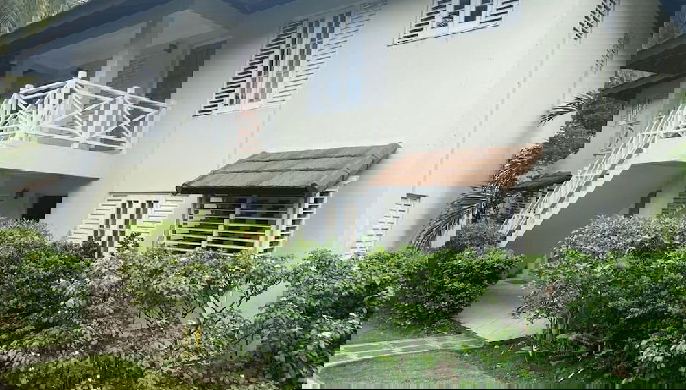 Primary image