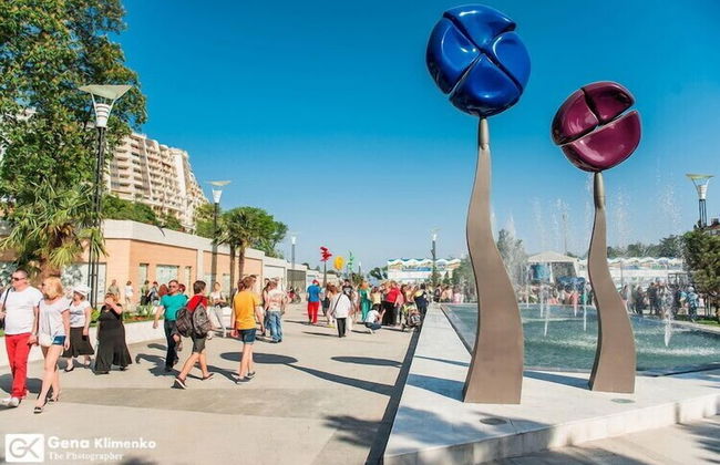 Arcadia Sky Apartments - Photo 63