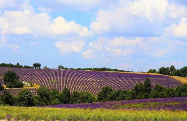 Holiday Home in Revest With Garden - Foto 36