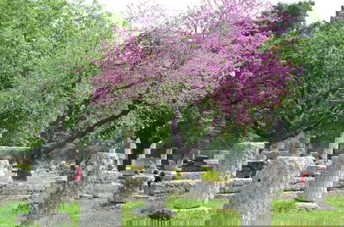 Photo 28 - Yiannis Maizonette Ancient Olympia