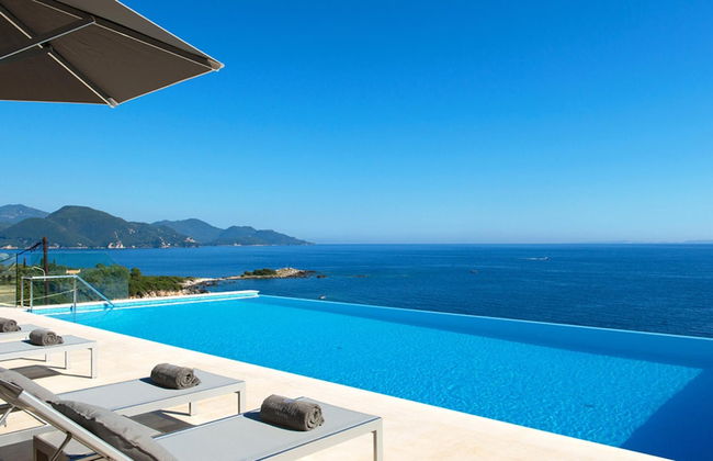 White Orchid Laelia in Vola - Foto 1