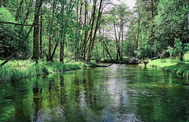 Siedlisko Milachowo luxury wellness - Foto 68