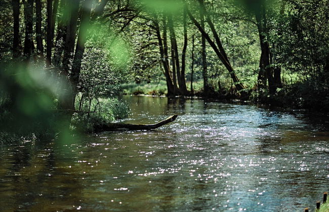 Siedlisko Milachowo luxury wellness - Foto 67