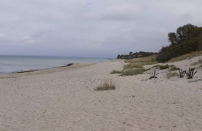 5 Star Holiday Home in Dronningmolle - Foto 67