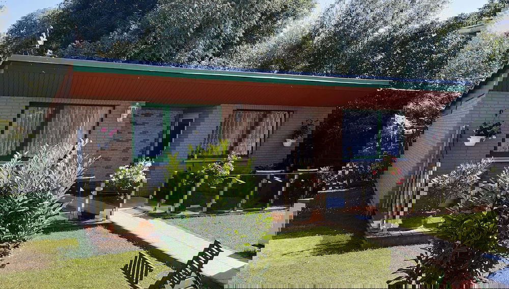 Imagem principal