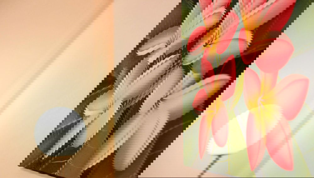 Imagem principal