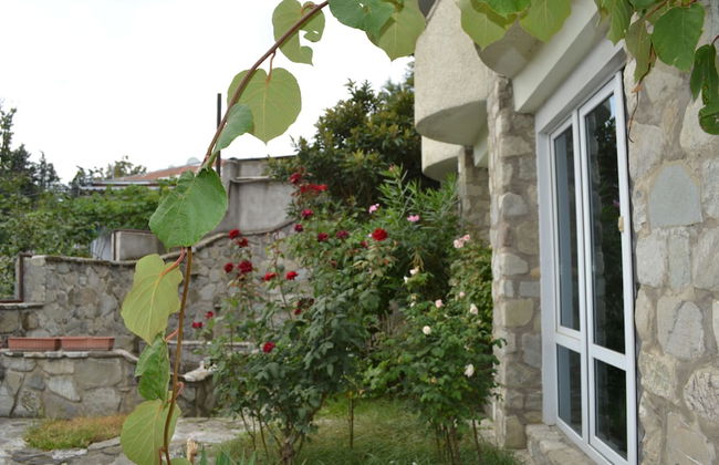 Royal Telavi - Photo 6