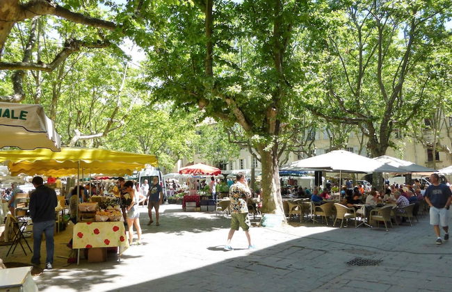 Country House in Lussan Near Pont du Gard - Photo 17