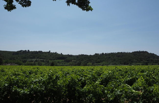 Holiday Home Near Pont du Gard & Vineyards - Photo 33