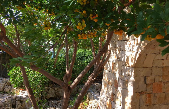Emma's Villa facing the sea with swimming pool - Photo 37