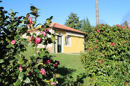 Foto 20 - Beautiful Cottage on the Estate of a Farm