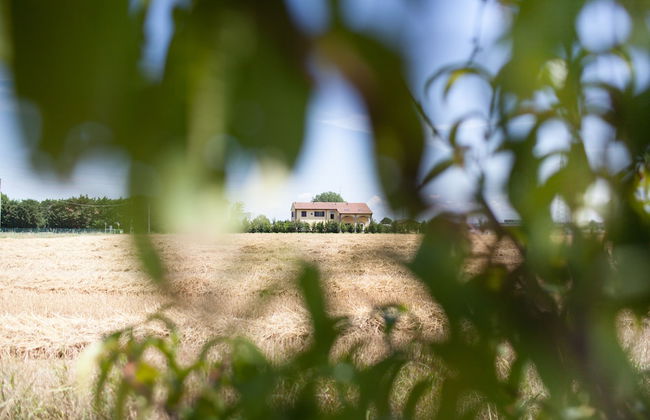 Agriturismo Il Mondo - Foto 31