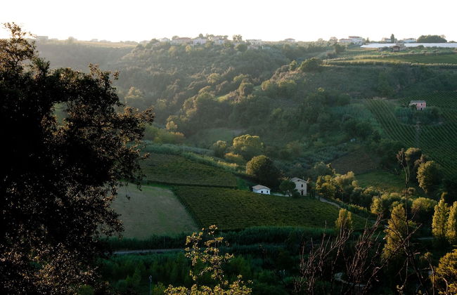 Agriturismo Casa dell'Orto - Foto 52