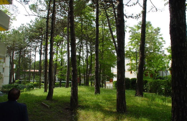 Lignano - Foto 16