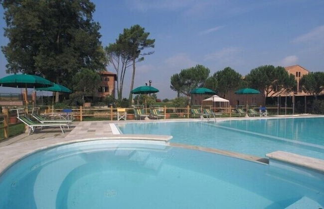 Fattoria Settepassi - Foto 10