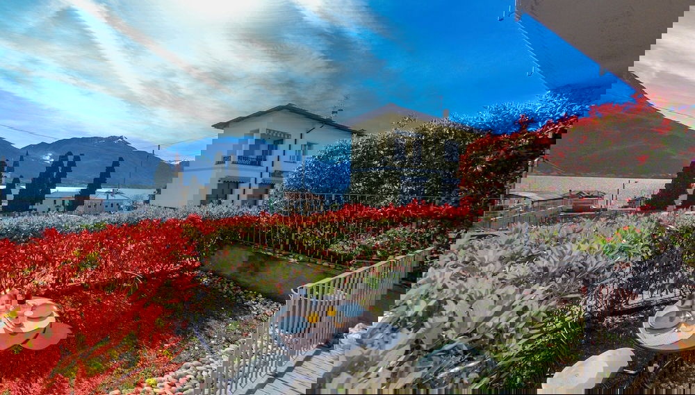 Image principale